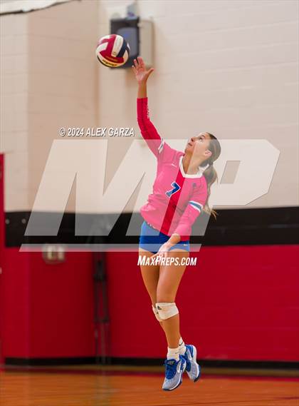 Thumbnail 1 in Johnson vs. Leander photogallery.