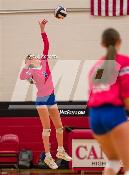 Thumbnail 1 in Johnson vs. Leander photogallery.