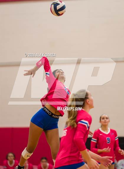 Thumbnail 1 in Johnson vs. Leander photogallery.