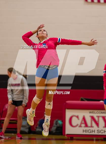 Thumbnail 2 in Johnson vs. Leander photogallery.