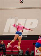 Photo from the gallery "Johnson vs. Leander"