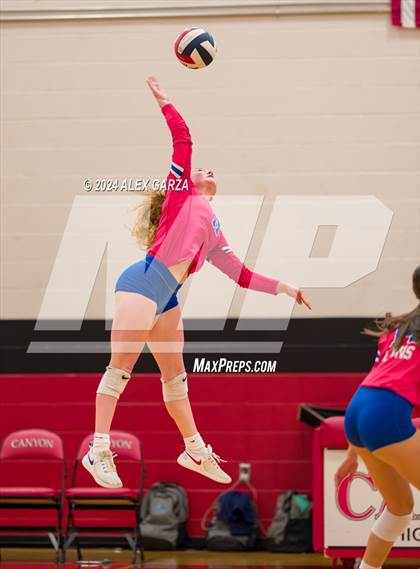 Thumbnail 3 in Johnson vs. Leander photogallery.