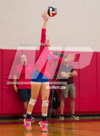 Thumbnail 1 in Johnson vs. Leander photogallery.
