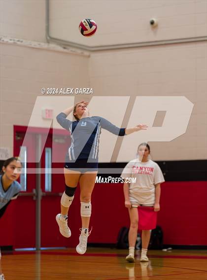 Thumbnail 2 in Johnson vs. Leander photogallery.