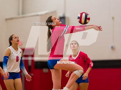 Thumbnail 2 in Johnson vs. Leander photogallery.