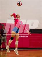 Photo from the gallery "Johnson vs. Leander"