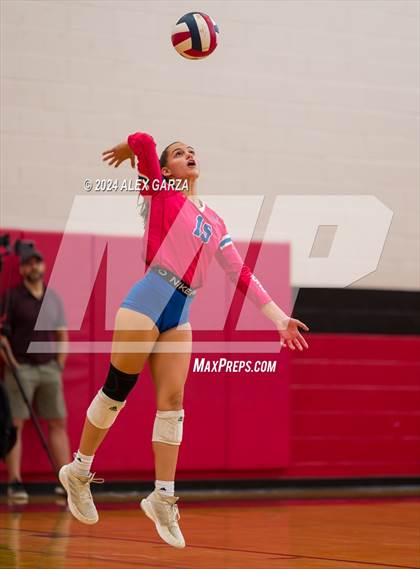 Thumbnail 3 in Johnson vs. Leander photogallery.