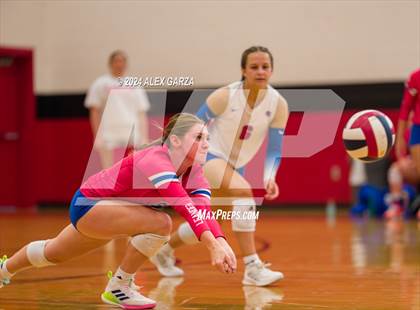 Thumbnail 3 in Johnson vs. Leander photogallery.
