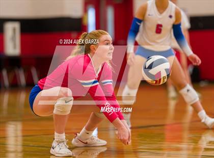 Thumbnail 2 in Johnson vs. Leander photogallery.