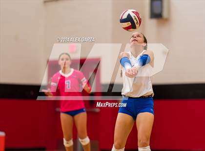 Thumbnail 3 in Johnson vs. Leander photogallery.
