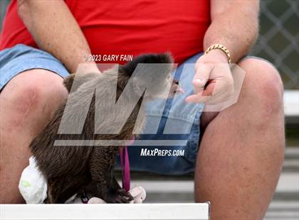 Thumbnail 2 in Loudon @ Soddy Daisy photogallery.