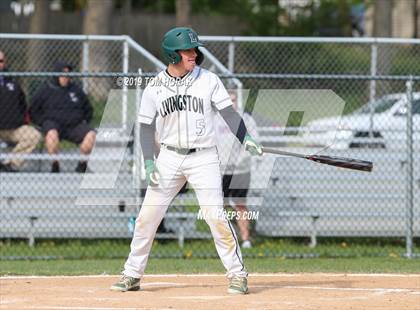 Thumbnail 1 in West Essex @ Livingston photogallery.