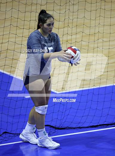 null - Photo 01