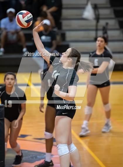 Thumbnail 1 in Harlan @ Medina Valley photogallery.
