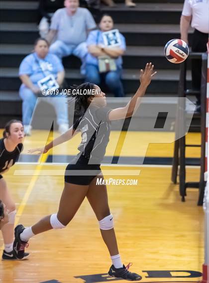 Thumbnail 3 in Harlan @ Medina Valley photogallery.