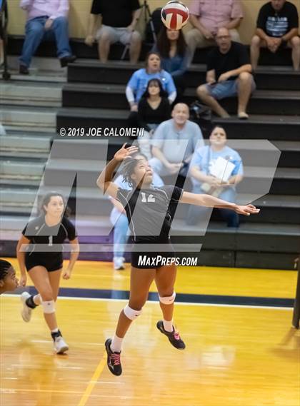 Thumbnail 3 in Harlan @ Medina Valley photogallery.