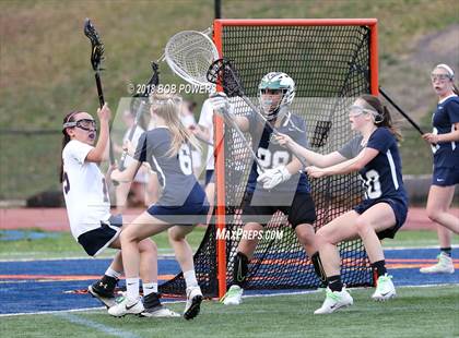 Thumbnail 3 in South County @ West Springfield photogallery.