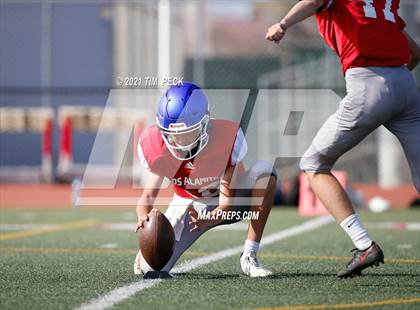 Thumbnail 2 in Newport Harbor @ Los Alamitos photogallery.