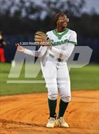 Photo from the gallery "Strawberry Crest @ Sumner"