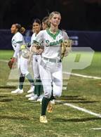 Photo from the gallery "Strawberry Crest @ Sumner"