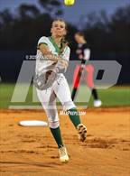 Photo from the gallery "Strawberry Crest @ Sumner"