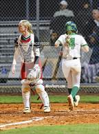 Photo from the gallery "Strawberry Crest @ Sumner"