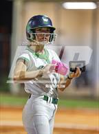 Photo from the gallery "Strawberry Crest @ Sumner"