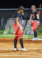 Photo from the gallery "Strawberry Crest @ Sumner"