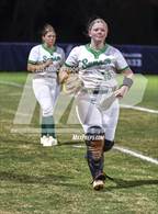 Photo from the gallery "Strawberry Crest @ Sumner"