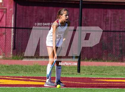 Thumbnail 3 in McLean @ Oakton photogallery.
