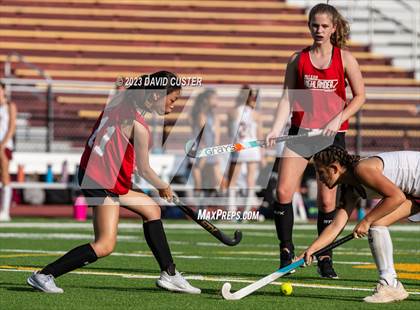 Thumbnail 2 in McLean @ Oakton photogallery.