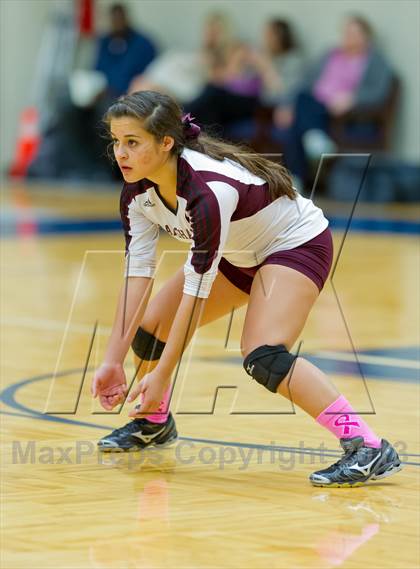 Thumbnail 3 in Marshall vs. Stevens photogallery.
