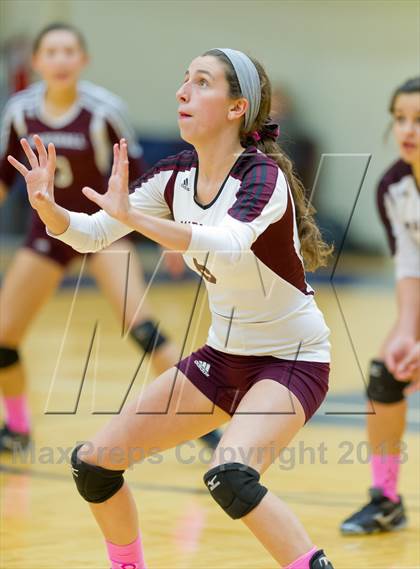 Thumbnail 3 in Marshall vs. Stevens photogallery.