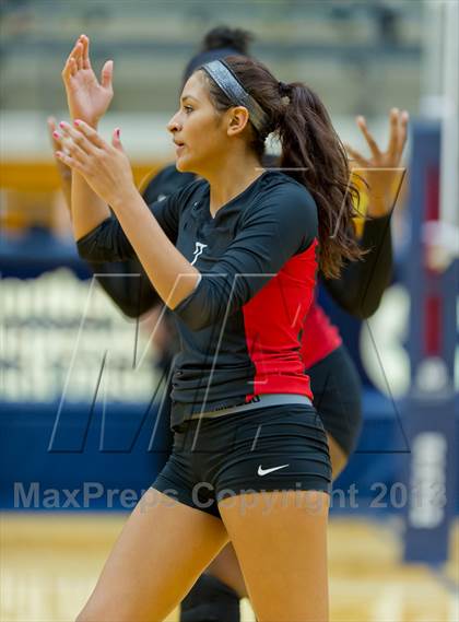 Thumbnail 1 in Marshall vs. Stevens photogallery.