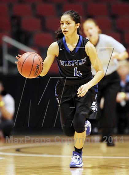 Thumbnail 2 in Desert Vista vs. Westview (AIA D1 Final) photogallery.