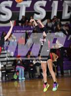 Photo from the gallery "Rosamond @ Eastside"