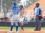 Photo from the gallery "Scotland @ South View"