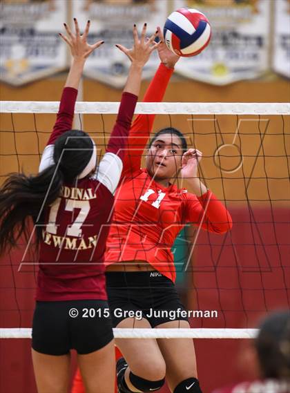 Thumbnail 2 in Cardinal Newman vs. Justin-Siena (CIF NCS D4 Playoff) photogallery.