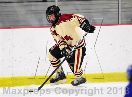 Thumbnail 3 in Darien @ North Haven photogallery.