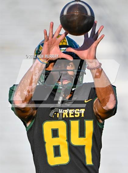 Thumbnail 1 in Klein Cain vs Klein Forest photogallery.