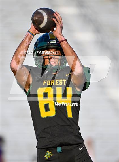 Thumbnail 2 in Klein Cain vs Klein Forest photogallery.