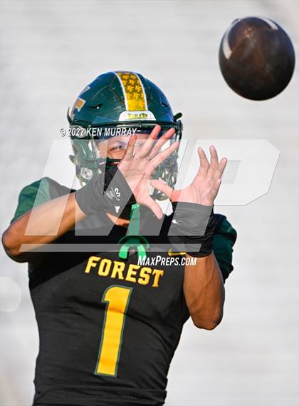 Thumbnail 3 in Klein Cain vs Klein Forest photogallery.
