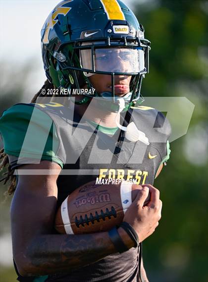 Thumbnail 2 in Klein Cain vs Klein Forest photogallery.