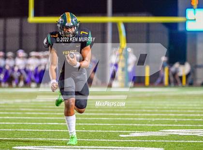 Thumbnail 2 in Klein Cain vs Klein Forest photogallery.