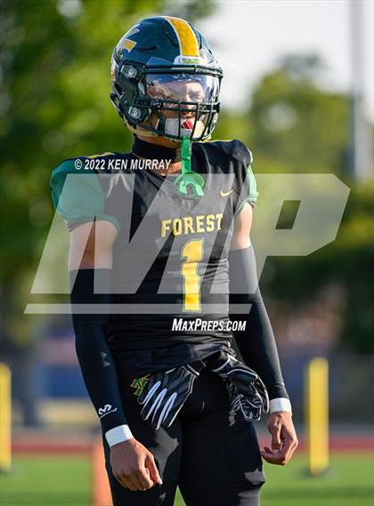 Thumbnail 2 in Klein Cain vs Klein Forest photogallery.
