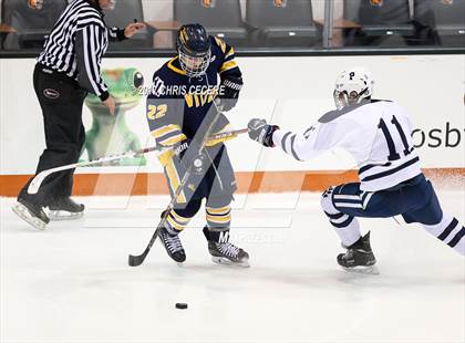 Thumbnail 3 in Victor vs. Pittsford (Section 5 Class A Semifinal) photogallery.