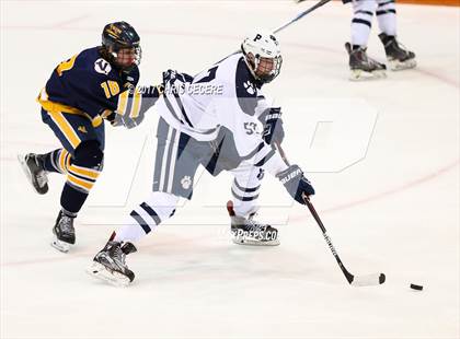 Thumbnail 3 in Victor vs. Pittsford (Section 5 Class A Semifinal) photogallery.