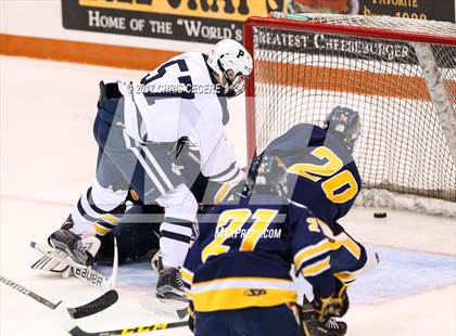 Thumbnail 1 in Victor vs. Pittsford (Section 5 Class A Semifinal) photogallery.