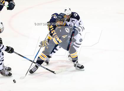 Thumbnail 3 in Victor vs. Pittsford (Section 5 Class A Semifinal) photogallery.