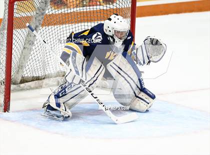 Thumbnail 2 in Victor vs. Pittsford (Section 5 Class A Semifinal) photogallery.